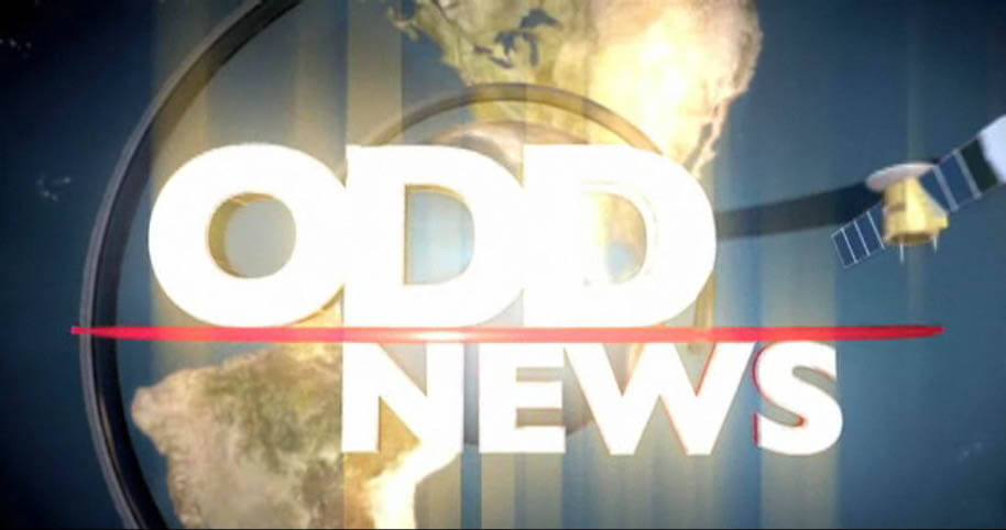 Odd News December 08, 2010